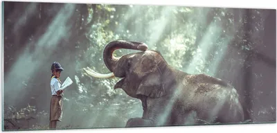 Produktbild von Bilder auf glas - Elefant Dschungel Stoßzahn - 100x40cm - Glasbilder - Wandbilder - Kunstdruck - zum Aufhängen bereit - Wanddekoration aus Glas - Glas Bilder - Wandbild auf Glas - GAB100x40-3486