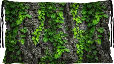 Obrázok produktu pre Bertoni Liegekissen 30x50 cm Creeper