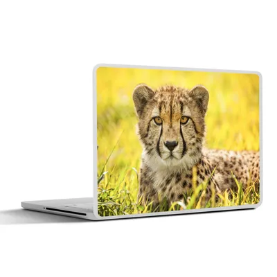 Produktbild von MuchoWow® Laptop Aufkleber Sticker Cover Leopard - Gras - Gepard 30x21 cm - Sticker für Laptop - Selbstklebend