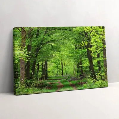 Produktbild von Waldweg unter den Bäumen – Leinwandbild Wandbild – 30x20 cm – Leinwandbilder – Wandbilder – Schlafzimmer – Flur