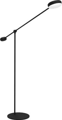 A black floor lamp with two adjustable lights against a white background.