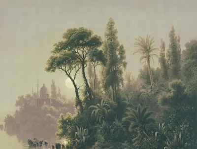 Immagine prodotto di Sanders & Sanders fotomurale giungla verde 371 x 280 cm