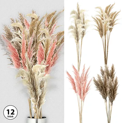 Produktbild von Pampasgras 12er Set 4 Farben Dekogras H90-100cm Trockenblume Wedel Kunstgras