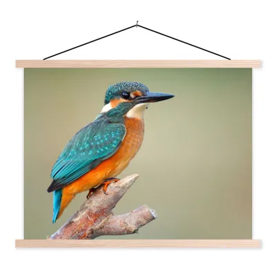 Produktbild von MuchoWow® Textilposter Vogel - Eisvogel - Zweig 120x90 cm mit holzfarbenen Rahmen - Magnetisch