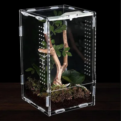 Produktbild von Futterbox Reptilienbox Acrylterrarium - 11 x 12 x 20 cm - Transparent - Für Echsen und Insekten
