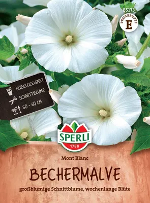 Produktbild von SPERLI Bechermalvensamen Mont Blanc Lavatera trimestris 45 Pflanzen