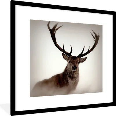 Produktbild von MuchoWow® Gerahmtes Poster Porträt - Hirsch - Geweih 40x40 cm - Poster mit Schwarzem Bilderrahmen Wandposter Rahmen Foto Bilder - Poster - Plakat im Rahmen