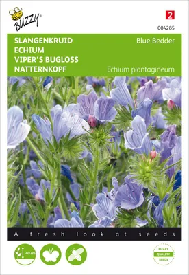 Artikelbild 2 von 'Natternkopf Blue Bedder' aus der Kategorie Wildblumensamen