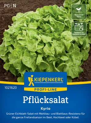 Produktbild von Kiepenkerl Pflücksalatsamen Kyrio Lactuca sativa 150 Pflanzen