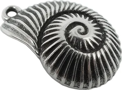 Produktbild von Anhänger Schnecke Messing versilbert im Used Look Minott 27949