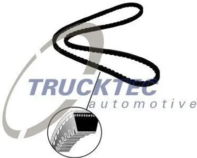 Produktbild von TRUCKTEC AUTOMOTIVE 08.19.095 Keilriemen 825mm für BMW 3 Limousine (E30) 5 Limousine (E34) 3 Cabrio (E30) für VW GOLF I Cabriolet (155) für AUDI 80
