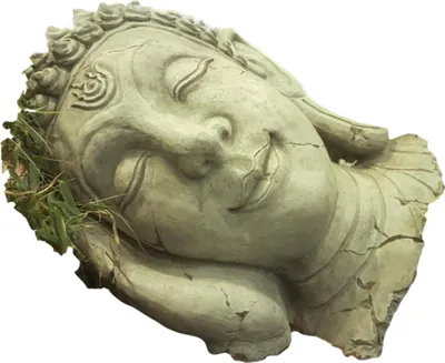 Produktbild von Schöner Buddha Kopf aus Steinguss Neu Frostfest Witterungsbeständig SU-2116