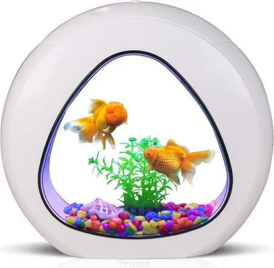 Image de SunSun Smart Aqua 4l - set d'aquarium blanc 4l SunSun