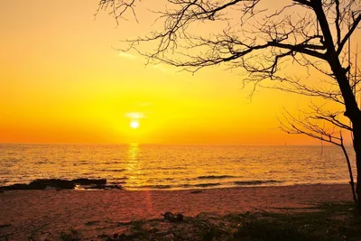 Zdjęcie produktu dla Fototapeta Dimex MS-5-1784 Sunset 375 x 250 cm