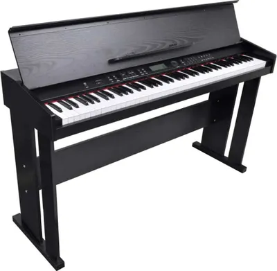 Image de Piano électronique/Piano numérique avec 88 touches et support