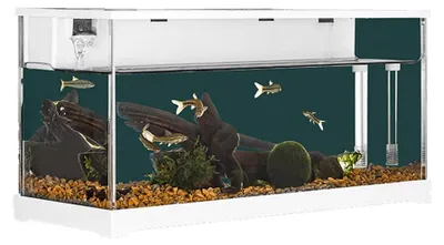 Aquarium aus Acryl, 38x14x18 cm, mit Filtersystem und leiser Pumpe