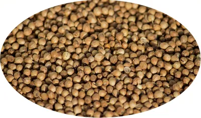 Image de Eder Gewürze - Coriandre en grains - 1 kg