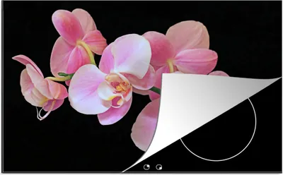 Produktbild von KitchenYeah© Herdabdeckplatte Eine Nahaufnahme von rosa Orchideen auf einem schwarzen Hintergrund , 80x52cm, Küche Deko, Glaskeramikkochfeld Herdabdeckung, Abdeckplatte fùr Kochfeld