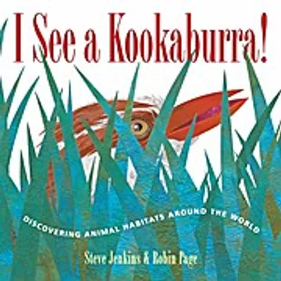 Image de I See a Kookaburra!