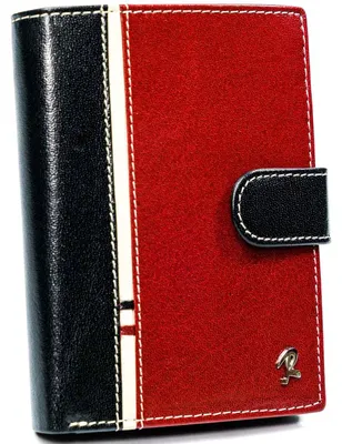 Image de Portefeuille vertical en cuir bicolore pour homme - Rovicky