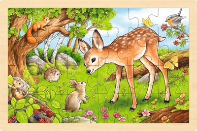 Produktbild von Einlegepuzzle Rehkitz