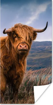 Produktbild von MuchoWow® Poster Schottische Highlander - Himmel - Natur 20x40 cm - Plakat - Foto