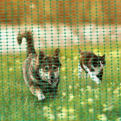 Produktbild von YZNAHRE Absperrzaun Kunststoff 1x50 m Schutznetz Schafzaun Hundezaun Geflügelzaun Hühnerzau Weidezaun Warnnetz Auffangnetz für Hunde Geflügel, Grün
