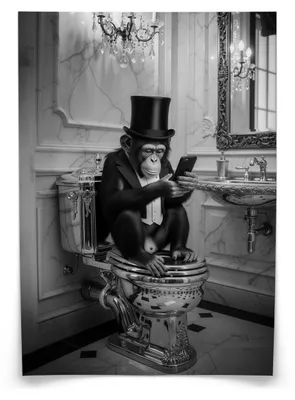 Produktbild von Muralo Poster für Badezimmer WC AFFE mit Zylinder auf Toilette Abstraktion 50x70cm