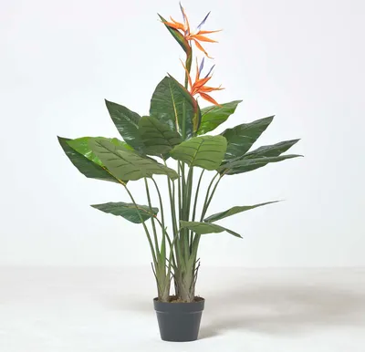 Image de HOMESCAPES Plante artificielle Strelitzia Reginae, fleur d'oiseau de paradis avec fleurs, 120 cm