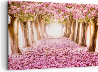 Produktbild von Bild auf Leinwand - Leinwandbild - Baum Blumen Kirsche Natur - 120x80cm - Wand Bild - Wanddeko - Leinwanddruck - Bilder - Kunstdruck - Wanddekoration - Leinwand bilder - Wandkunst - AA120x80-2794