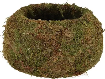 Produktbild von Esschert Design Kokedama Moos-Kugel S Ø 9 cm