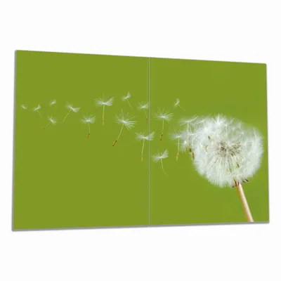Produktbild von Wallario Herdabdeckplatte aus Glas, Größe 80 x 52 cm 2-teilig, Motiv Pusteblume auf der Wiese mit fliegenden Samen