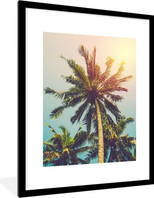 Produktbild von MuchoWow® Gerahmtes Poster Palme - Sommer - Tropisch - Sonne 60x80 cm - Poster mit Schwarzem Bilderrahmen Wandposter Rahmen Foto Bilder - Wohnzimmer - Dekorationen - Prämie