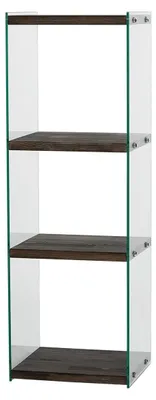 Bücherregal 120x40x35 cm, Massivholz & Glas, Anthrazit