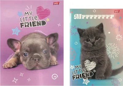 Obrázek produktu pro Sešit A4, 32 listů, čtverečkovaný, My Little Friend, 15 kusů