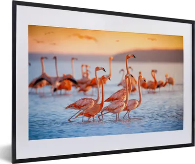 Produktbild von MuchoWow® Gerahmtes Poster Flamingo - Tiere - Wasser - Rosa 60x40 cm - Poster mit Schwarzem Bilderrahmen Wandposter Rahmen Foto Bilder - Schlafzimmer - Plakat in Rahmen - Drucken