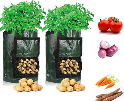 Image de Planting Bag PE Environmentally Friendly Breathable Plant Grow Pouch Garden Planting Bag Gardening Tool Dark Green 3 Gallons 25x22cm