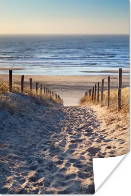 Produktbild von MuchoWow® Poster Strand - Meer - Niederlande - Dünen - Sonne 120x180 cm - Kunstposter