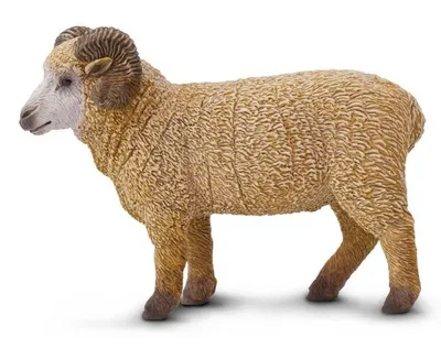 Produktbild von Safari Ltd 161429 Schafbock 9 cm Serie Bauernhof