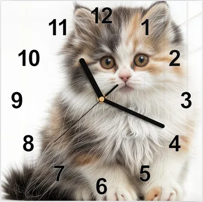 Produktbild von Wanduhr aus Glas mit Motiv Flauschige Katze- 30 x 30 cm - inkl. Aufhängesystem