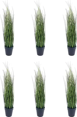 Produktbild von 6er Set künstliche Gräser, Grasbusch im Topf H. 50cm grün Emerald Zimmerpflanzen