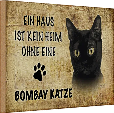 Produktbild von Holzschild Spruch 30x20cm Bombay Katze ohne kein Heim