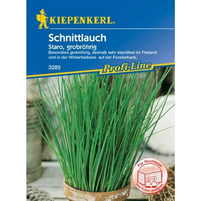 Produktbild von Kiepenkerl Profi-Line Schnittlauchsamen Staro