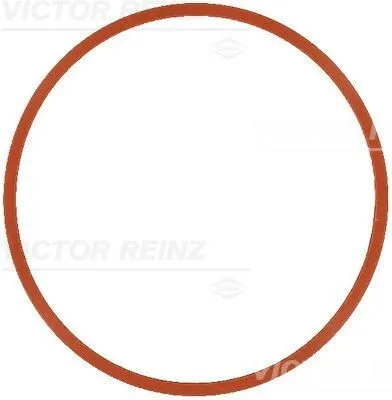 Produktbild von REINZ 71-17585-00 Ansaugkrümmer-Dichtung für LAND ROVER Range Rover Evoque (L538) für JAGUAR F-PACE (X761)