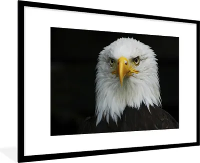 Produktbild von MuchoWow® MuchoWow® Gerahmtes Poster Adler - Schwarz - Weiß 90x60 cm - Poster mit zchwarzem Bilderrahmen - Wanddekoration - Fotos