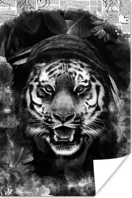 Produktbild von MuchoWow® Poster Tiger mit einer Kapuze auf einem Hintergrund von Zeitungen - schwarz und weiß 20x30 cm - Papierdruck