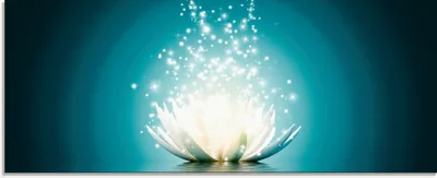 Produktbild von Vadim Georgiev: Magie der Lotus-Blume türkis - Glasbild, Größe:50x125 cm / Glasbild