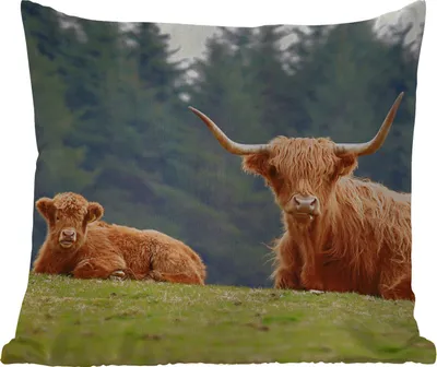 Produktbild von MuchoWow® Outdoor Kissen - Schottische Hochlandrind - Gras - Wald - 50x50 cm - Wetterfest - Lounge Kissen - Komfortabel - Kissen mit Bild