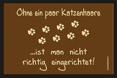 Fußmatte 40 x 60 cm Polyamid-Velours Anti-Rutsch Katzenhaar-Motiv