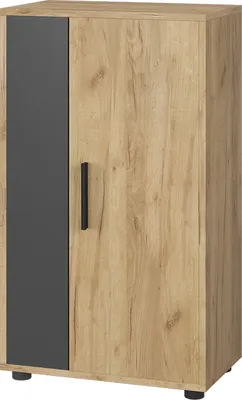 Produktbild von Kommode Vicco Berno Goldkraft Eiche/Anthrazit 50.1 x 87.3 cm mit 2 Fächern, Model 55453